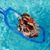 Swinging Pool Skimmer Cleaner Mesh Net Leaf Cleaning Scoop Pool Leaf Rake Debris Skimmer