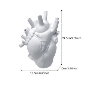 Vase In The Shape Of Human Heart, Home Decoration, Desktop Art Craft Ornament, Exquisite And High-end Indoor Vase, Organ Design Flower Container (Color: White, size: 16.5*10*25)